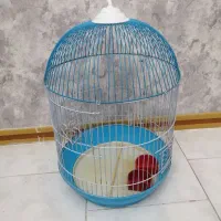 قفس برای مرغ عشق