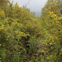 هواخوری وتفریح