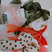 گیره و گلسر پاپیونی