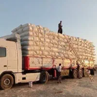 فروش کـاه گندم تمیز قیمت مناسب
