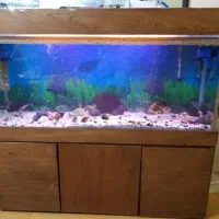 آکواریوم با ابعاد۱۶۰ـ۸۰ـ۵۰باتمام وسایل