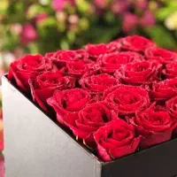 گل ازدواج(وا)