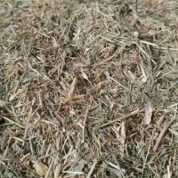 علف|لوازم جانبی حیوانات|سنندج, |دیوار
