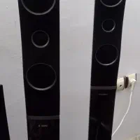 باند کنگرد