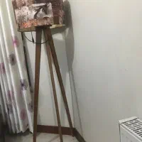 اباژور ایستاده طرحدار