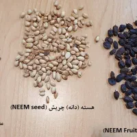 چریش - چریشک - NEEM