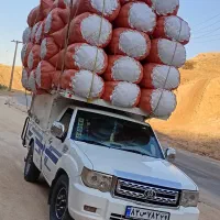 کاه امسال