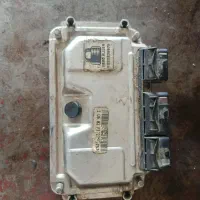 ایسیو بوش