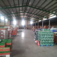 رانندعه نیسان پخش مواد غذایی و بهداشتی