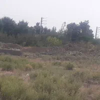 زمین مناسب باغچه و سرمایه گذاری