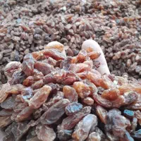 کشمش آفتابی درجه یک با بازدهی بالا