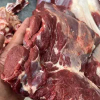 گوشت .شترمرغ
