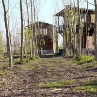 هر-چی-بگم-گویای-واقعیت-نیست