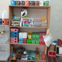 پرنده فروشی