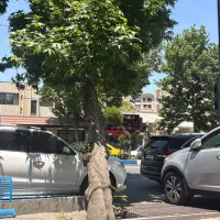 آپارتمان-185متر-دانشکده