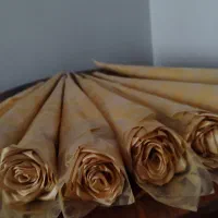 گل رز ربانی