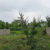 253متر زمین خوش نقشه