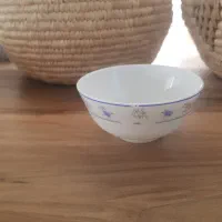سرویس آرکوپال فرانسه ۲۴ پارچه