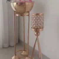 کنارسالنی