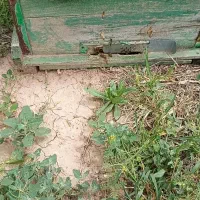 چادر 3در4سفید