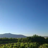 باغ