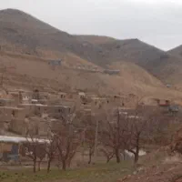 زرشک پوفکی