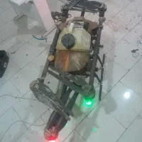 سم حشره کش شالی