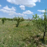 باغ شهر شقایق نزدیک ترین باغ شهر به زنجان