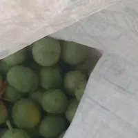 گردوی درجه یک نهاوند