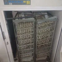 دستگاه جوجه کشی