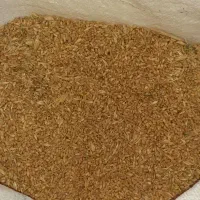 گندم آبی مخصوص دام