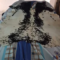 پوست گاوی دباغی