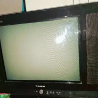 تلویزیون