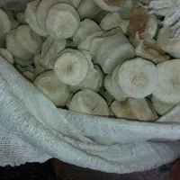 ۵۰کیلو کشک تمیز گوسفندی