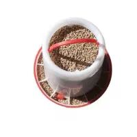 دان خوری مرغ و خروس