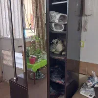 جاکفشی ایستاده