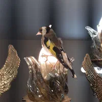 سهره نر