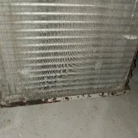 کلر جنرال اصل