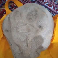 فسیل چنصدمیلیون ساله