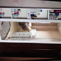 میز و اینه