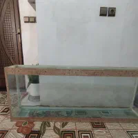 آکواریوم