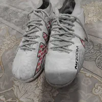 استوک چمنی