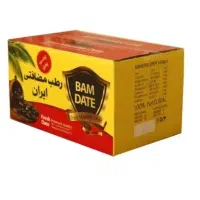کارتون سنجاق میزنم