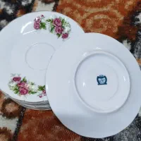 نلبکی اصل گل سرخ