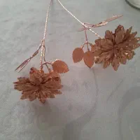 گل مسی