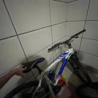 دوچرخه
