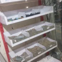 جا تخمه و شکلات و حبوبات با نمای شیشه
