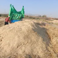کاه فله