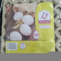 تخم مرغ ۳۰ عددی