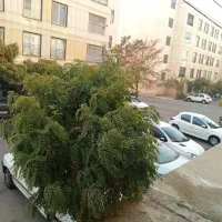 خیابان-سرزمین-قیمت-مناسب-آسانسور-فعال-فول